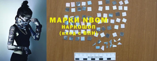 мдпв Пересвет