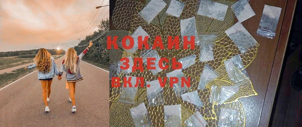 мдпв Пересвет