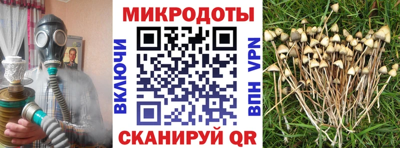Псилоцибиновые грибы Psilocybe  Исилькуль 